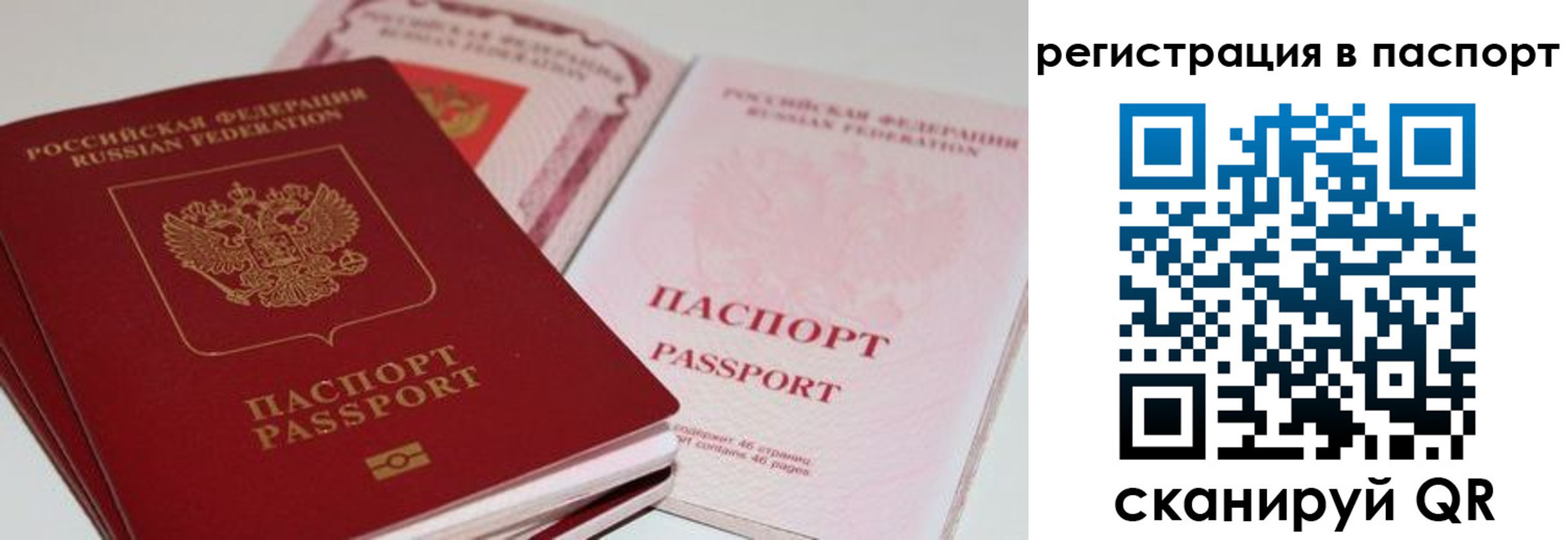 найти адрес прописки в Кировске